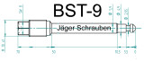Titan (Ti6Al4V) - Bremsbelagstift Sonderfarben